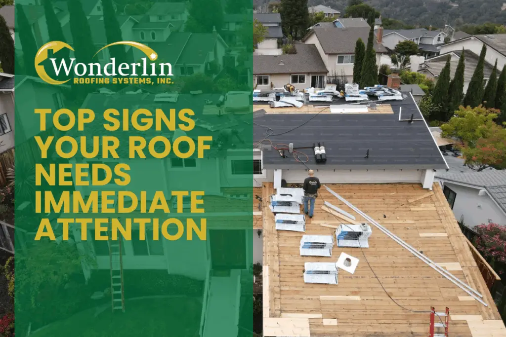 Top Signs Your Roof Needs Immediate Attention