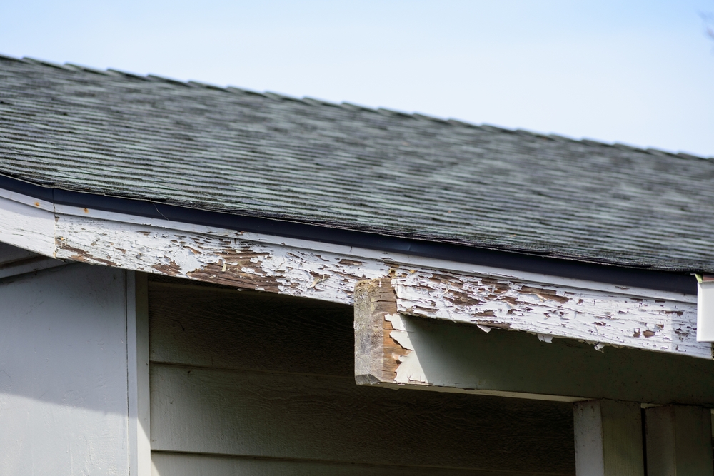 House Roof With Peeling Paint