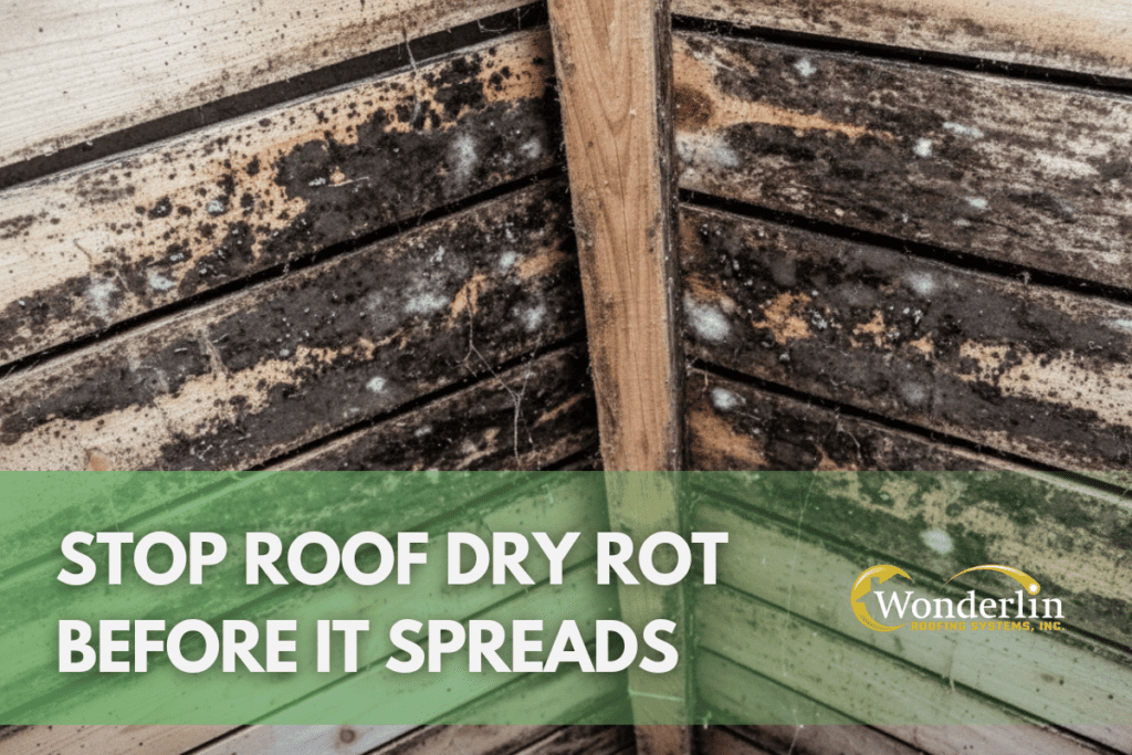 Stop Roof Dry Rot Before It Spreads