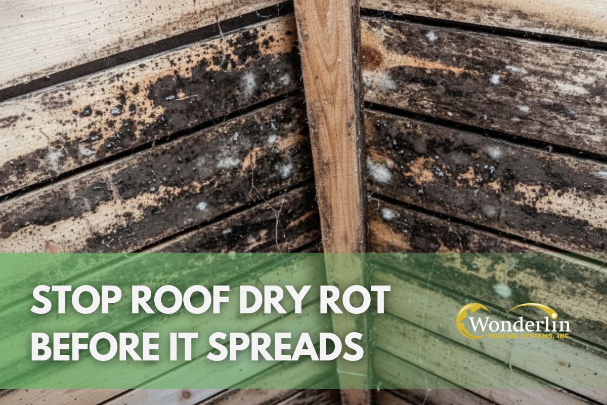Stop Roof Dry Rot Before It Spreads