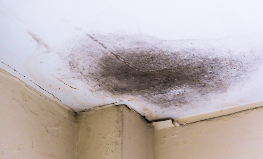 Signs of a damaged roof