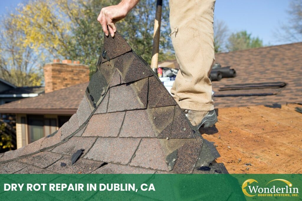 Dry Rot Repair In Dublin, CA