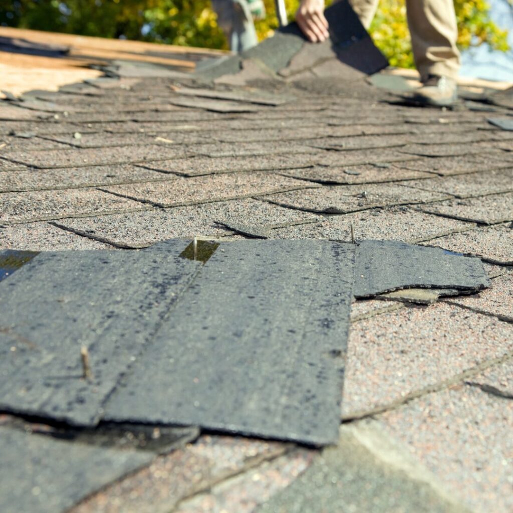 Roof dry rot repair