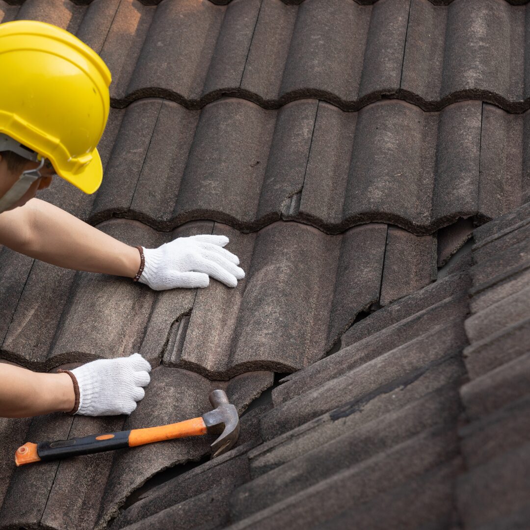 Common Shake Roof Problems