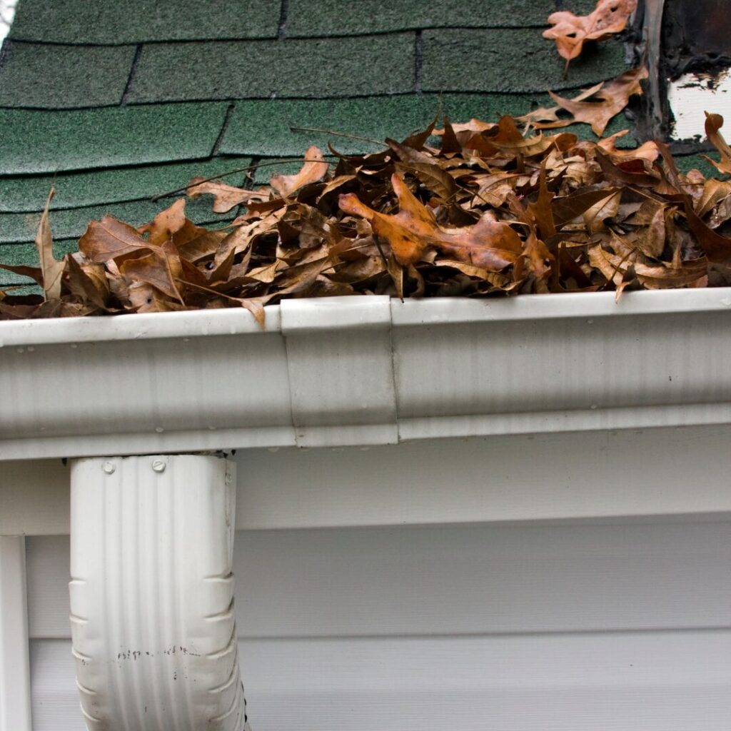 Common Gutter And Downspout Problems