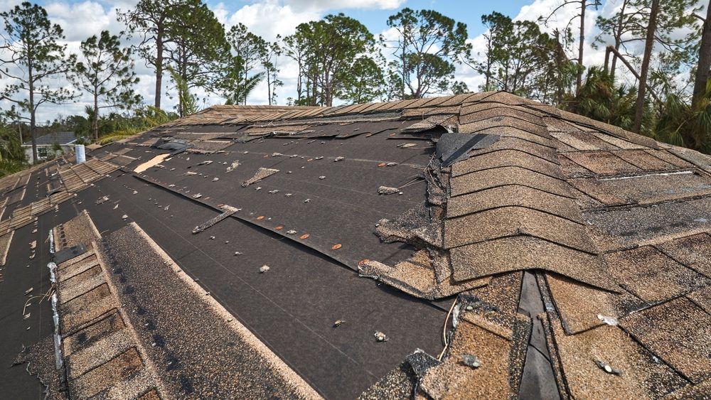 Missing, cracked, or curling shingles