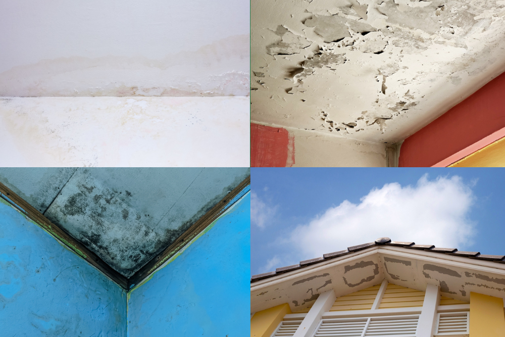 Redflag Roof Symptoms