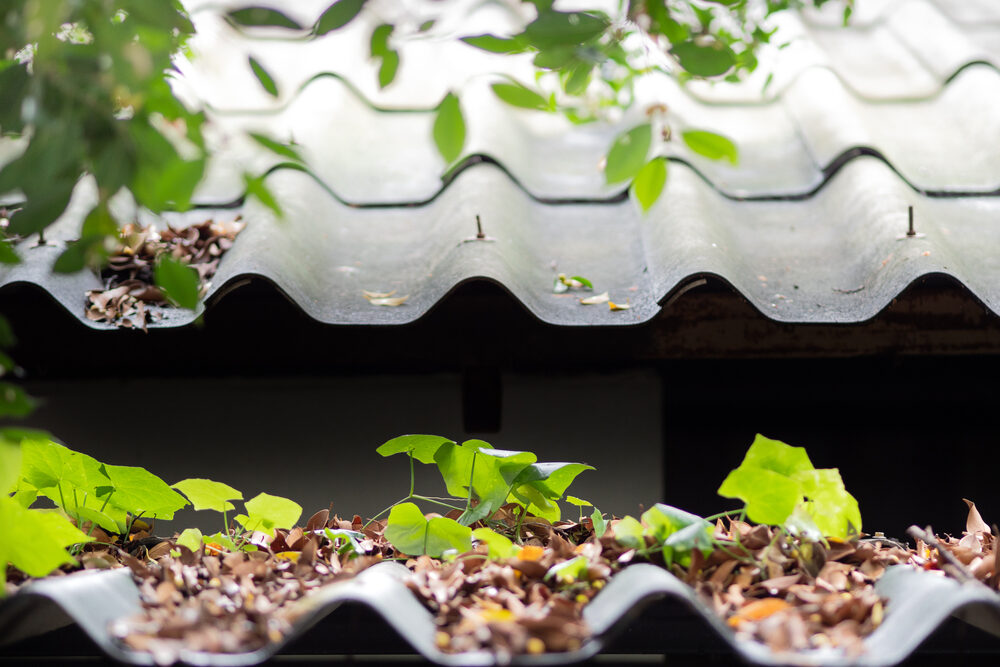 Debris and autumn leaves piled up on a roof can cause drainage issues.